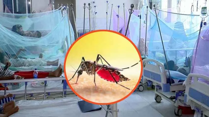 ডেঙ্গুতে একদিনে ১০ জনের মৃত্যু, হাসপাতালে ১৯৪৩