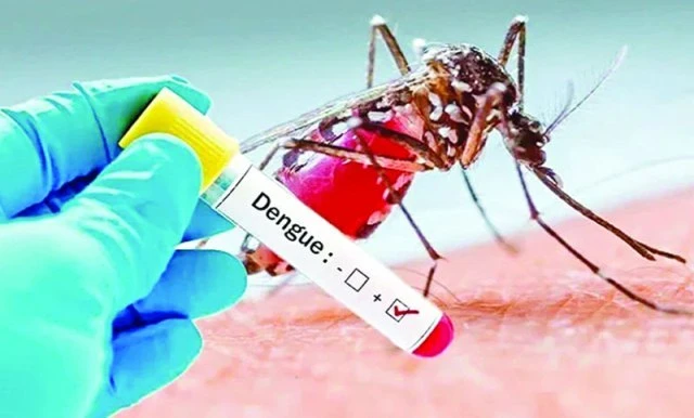 ডেঙ্গুতে ৩ জনের মৃত্যু, হাসপাতালে ভর্তি ৩৭২ জন