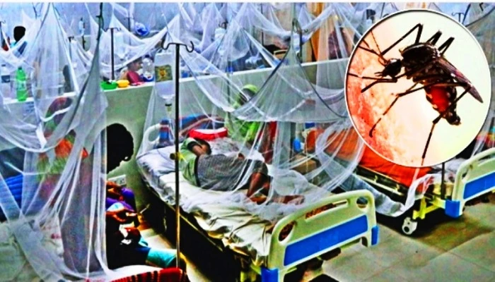 অক্টোবরেও ডেঙ্গুর সংক্রমণ বাড়ার ঝুঁকি