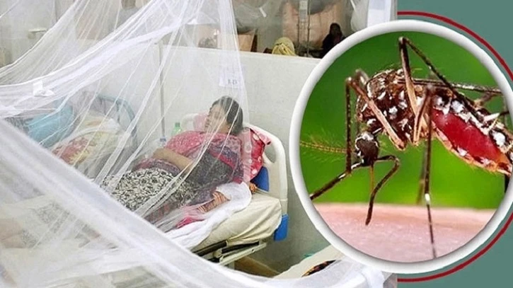 ডেঙ্গুতে আরও ৬ জনের মৃত্যু, হাসপাতালে নতুন ভর্তি ১৫৬১