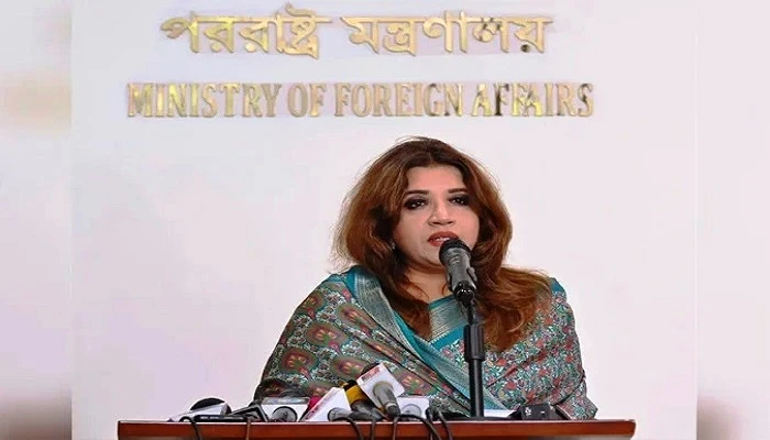 রোহিঙ্গা প্রত্যাবাসনে আন্তর্জাতিক সহযোগিতা চায় বাংলাদেশ: শামা ওবায়েদ