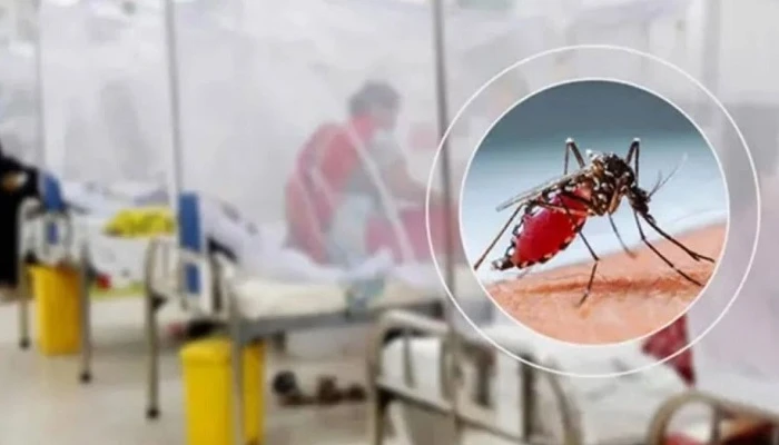 ডেঙ্গুতে আরও ৩ জনের মৃত্যু, হাসপাতালে ১৪৩২