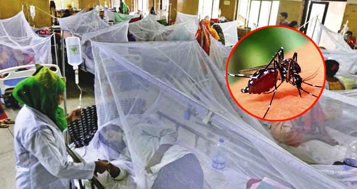 ডেঙ্গুতে আরও ৬ জনের মৃত্যু, হাসপাতালে ভর্তি ২ হাজার ৮৯